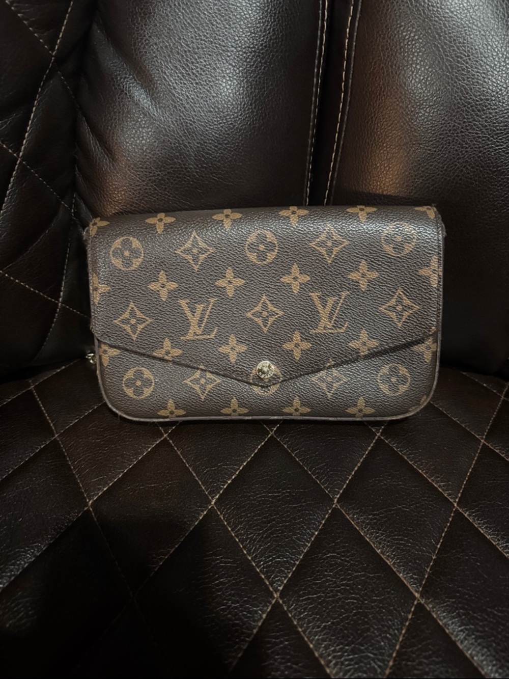 Louis Vuitton monogram bag canvas bag
